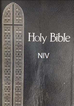 NIV Bible